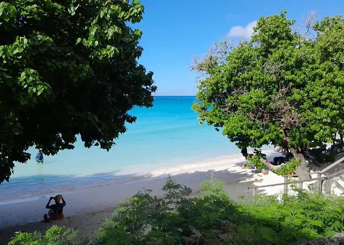 Melrose Beach Apartments Inc